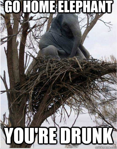 Go Home elephant you're drunk  