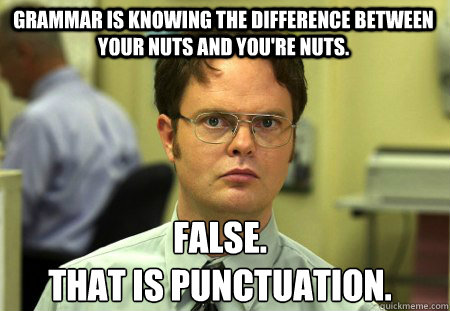 Grammar is knowing the difference between your nuts and you're nuts. False.
That is punctuation.  Schrute