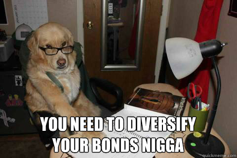  You need to diversify
your bonds nigga -  You need to diversify
your bonds nigga  Financial Advice Dog