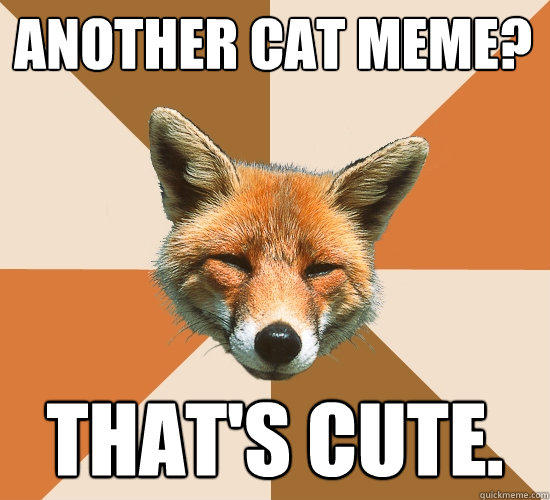 another cat meme?
 that's cute. - another cat meme?
 that's cute.  Condescending Fox