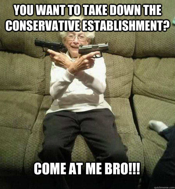 You want to take down the conservative establishment? COME AT ME BRO!!!  