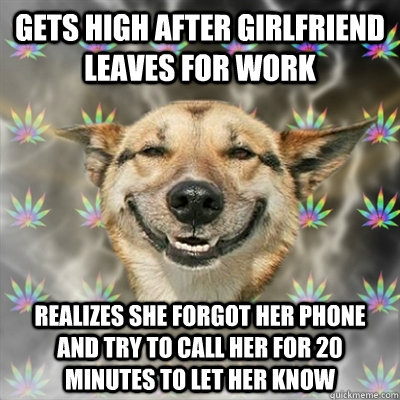 Gets high after girlfriend leaves for work Realizes she forgot her phone and try to call her for 20 minutes to let her know  Stoner Dog