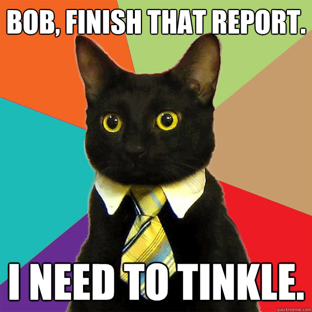 Bob, finish that report. I need to tinkle.  Business Cat