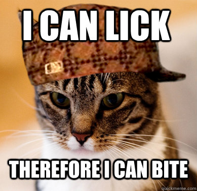 I can lick Therefore i can bite  Scumbag Cat