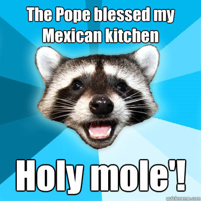 The Pope blessed my Mexican kitchen  Holy mole'!  Lame Pun Coon