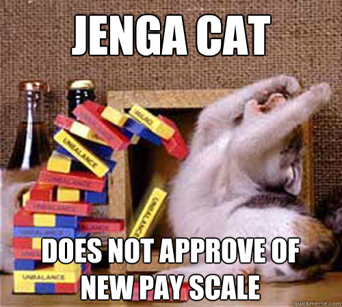 JENGA CAT DOES NOT APPROVE OF 
NEW PAY SCALE  Jenga Cat