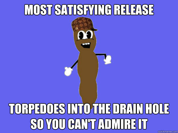 most satisfying release torpedoes into the drain hole so you can't admire it  Scumbag Shit