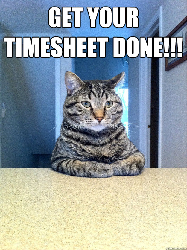 Get your Timesheet Done!!!   Chris Hansen Cat