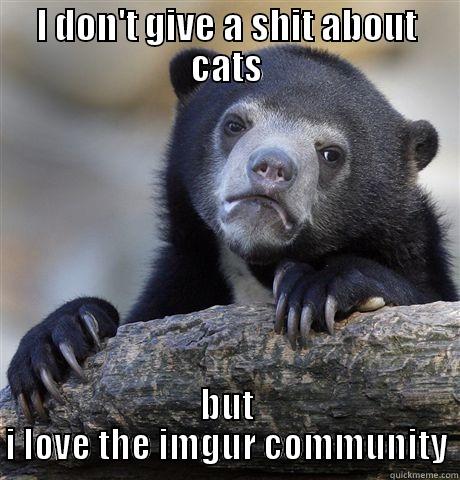 I DON'T GIVE A SHIT ABOUT CATS BUT I LOVE THE IMGUR COMMUNITY Confession Bear