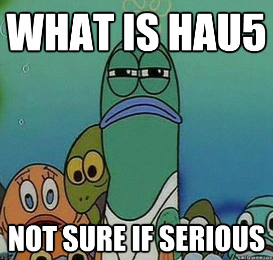 what is HAU5 NOT SURE IF SERIOUS - what is HAU5 NOT SURE IF SERIOUS  Not sure if serious
