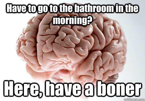Have to go to the bathroom in the morning? Here, have a boner   Scumbag Brain