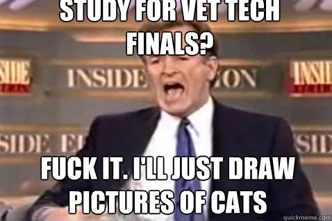 Study for vet tech finals? Fuck it. i'll just draw pictures of cats  Fuck It Bill OReilly