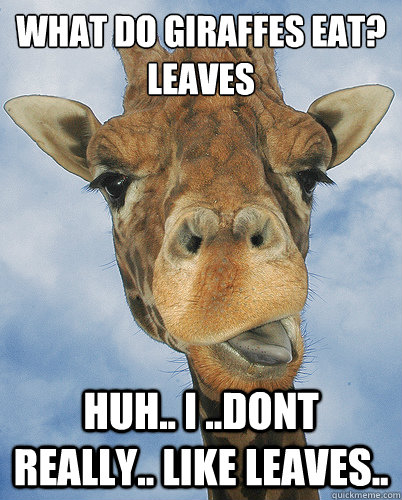 What do giraffes eat?
Leaves Huh.. i ..dont really.. like leaves..  