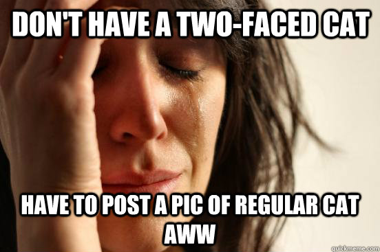 Don't have a two-faced cat have to post a pic of regular cat aww  First World Problems