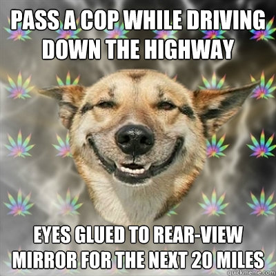 pass a cop while driving down the highway eyes glued to rear-view mirror for the next 20 miles - pass a cop while driving down the highway eyes glued to rear-view mirror for the next 20 miles  Stoner Dog