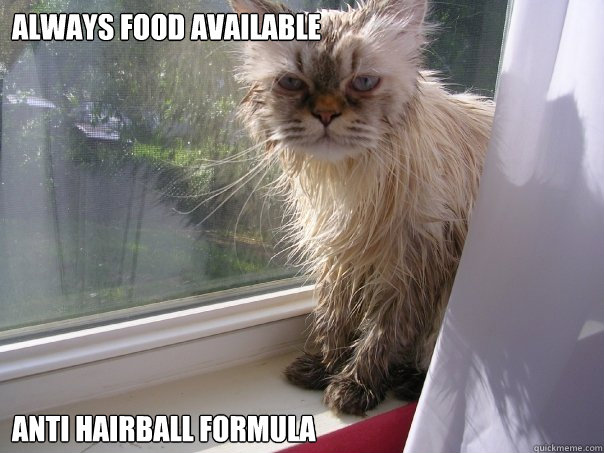 always food available anti hairball formula  Fancy Cat Problems