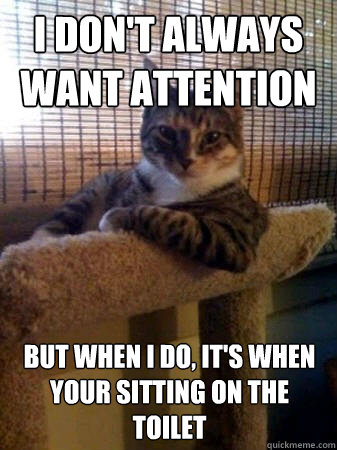 I don't always want attention but when I do, It's when your sitting on the toilet  The Most Interesting Cat in the World