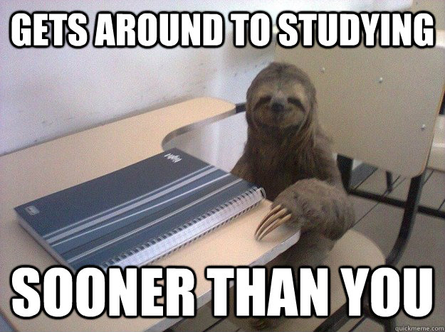 Gets around to studying  sooner than you - Gets around to studying  sooner than you  Productive Sloth