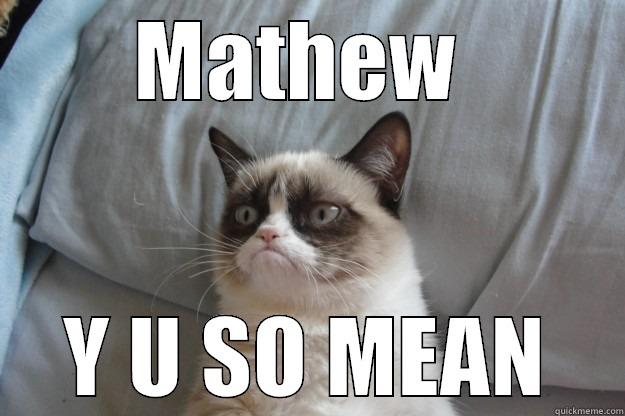 Y U SO MEAN - MATHEW  Y U SO MEAN Grumpy Cat