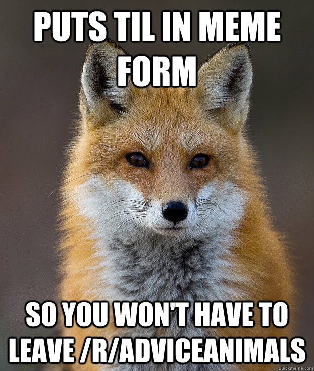 Puts TIL in meme form so you won't have to leave /r/adviceanimals  Fun Fact Fox