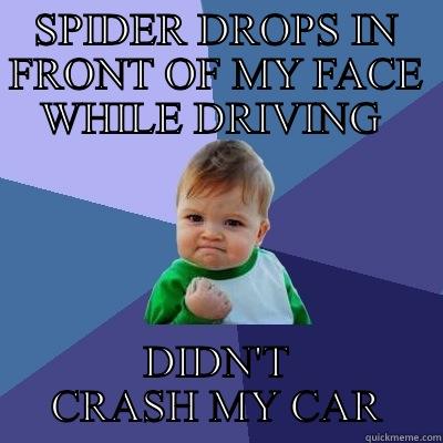 SPIDER DROPS IN FRONT OF MY FACE WHILE DRIVING  DIDN'T CRASH MY CAR Success Kid