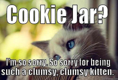 COOKIE JAR? I'M SO SORRY. SO SORRY FOR BEING SUCH A CLUMSY, CLUMSY KITTEN.  First World Problems Cat