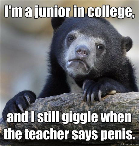 I'm a junior in college,  and I still giggle when the teacher says penis.  Confession Bear