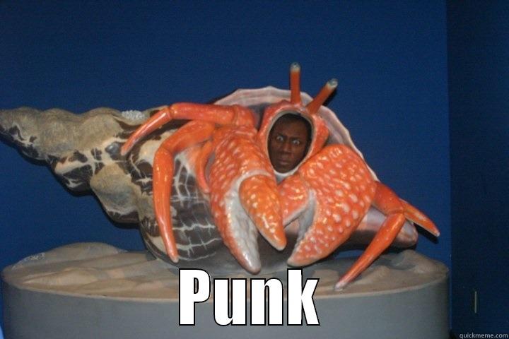  PUNK Misc