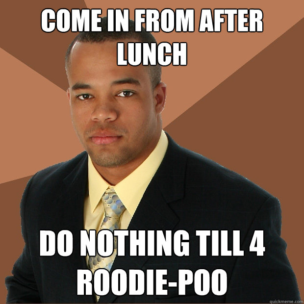 come in from after lunch
 do nothing till 4
roodie-poo  Successful Black Man