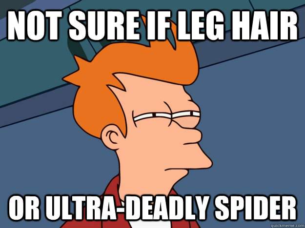 Not sure if leg hair or ultra-deadly spider  
