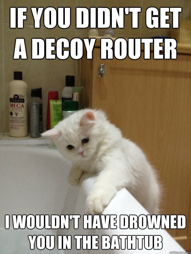 If you didn't get a decoy router I wouldn't have drowned you in the bathtub  