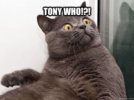 TONY WHO!?!  - TONY WHO!?!   conspiracy cat