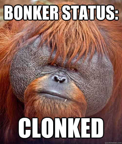 BONKER STATUS: CLONKED - BONKER STATUS: CLONKED  BONK