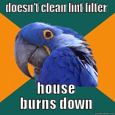 DOESN'T CLEAN LINT FILTER HOUSE BURNS DOWN Paranoid Parrot