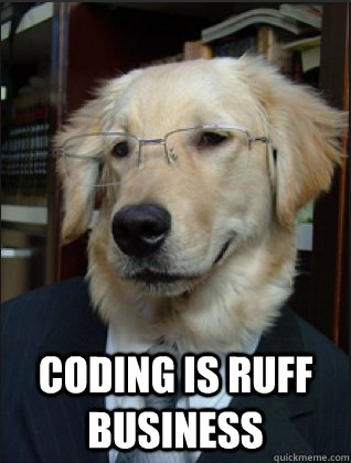  Coding is ruff business  Professor Dog