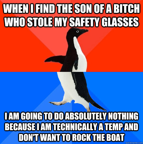 When I find the son of a bitch who stole my safety glasses I am going to do absolutely nothing because I am technically a temp and don't want to rock the boat   Socially Awesome Awkward Penguin