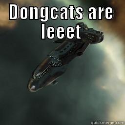 DONGCATS ARE LEEET  Misc