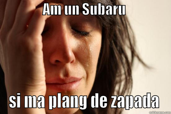                  AM UN SUBARU                   SI MA PLANG DE ZAPADA First World Problems