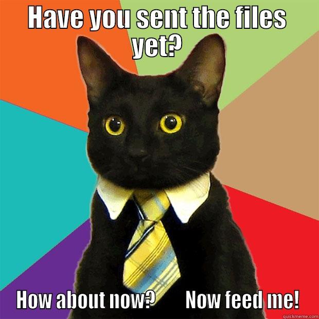 send files - HAVE YOU SENT THE FILES YET? HOW ABOUT NOW?        NOW FEED ME! Business Cat