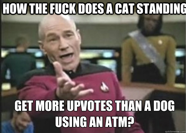 How the Fuck does a cat standing get more upvotes than a dog using an atm? - How the Fuck does a cat standing get more upvotes than a dog using an atm?  Annoyed Pichard