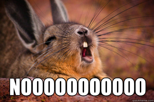  NOOOOOOOOOOO -  NOOOOOOOOOOO  viscacha nooo