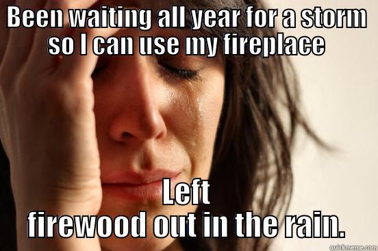 BEEN WAITING ALL YEAR FOR A STORM SO I CAN USE MY FIREPLACE LEFT FIREWOOD OUT IN THE RAIN. First World Problems