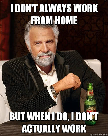 I don't always work from home But when I do, I don't actually work  The Most Interesting Man In The World
