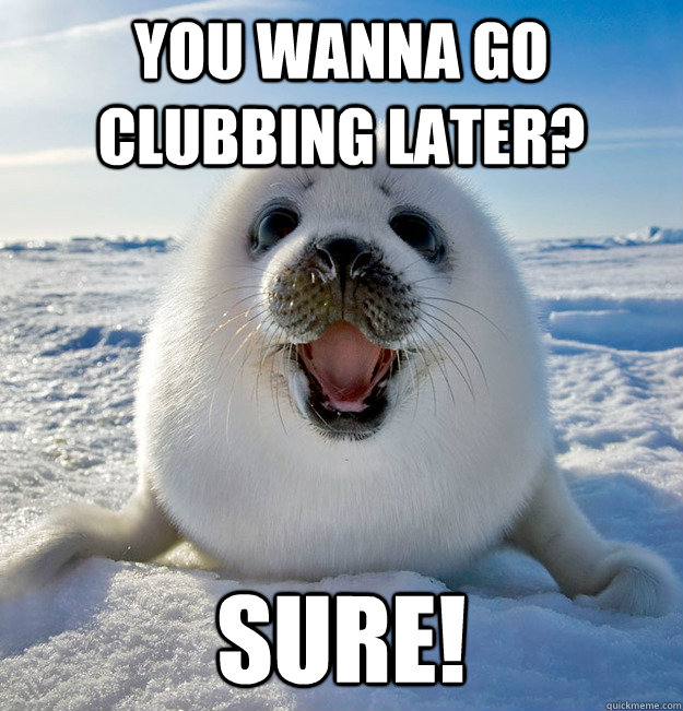 You wanna go clubbing later? Sure!  Easily Pleased Seal