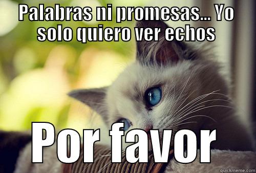 PALABRAS NI PROMESAS... YO SOLO QUIERO VER ECHOS POR FAVOR First World Problems Cat