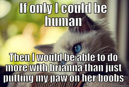 IF ONLY I COULD BE HUMAN THEN I WOULD BE ABLE TO DO MORE WITH BRIANNA THAN JUST PUTTING MY PAW ON HER BOOBS First World Problems Cat