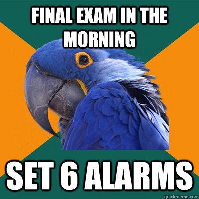 final exam in the morning set 6 alarms  Paranoid Parrot