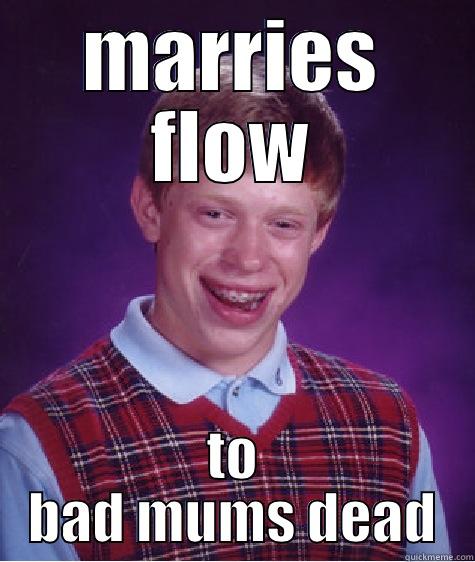 MARRIES FLOW TO BAD MUMS DEAD Bad Luck Brian