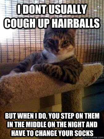 i dont usually cough up hairballs but when I do, you step on them in the middle on the night and have to change your socks  The Most Interesting Cat in the World