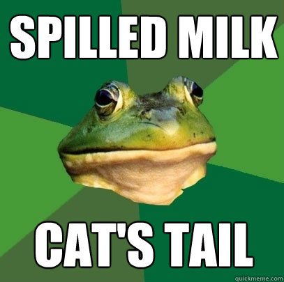 Spilled milk  Cat's tail  Foul Bachelor Frog
